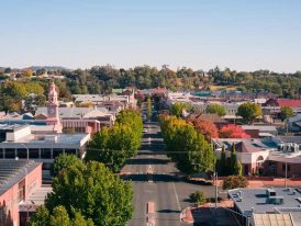 City roads with trees — Doors & Windows in Armidale, NSW